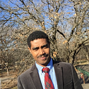 Hunegnaw Zeleke, Health Informaticist